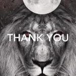 Jose jr brown thank you r&b music 2019