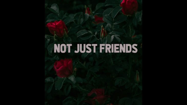 NOT JUST FRIENDS – R&B beat