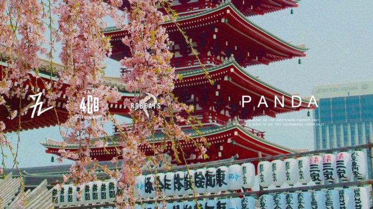 “Panda” R&B|Soul Type Beats Instrumental (Prod.R9BEATS)