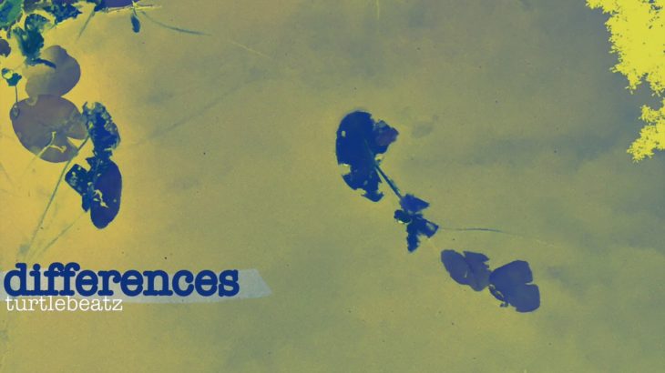 R&B Type Beat – “Differences” (Prod. by @TurtleBeatz)