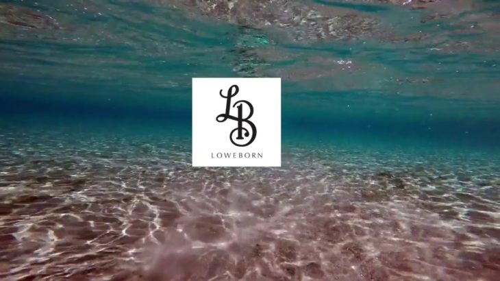 THE LOVELIEST – SMOOTH CHILL R&B BEAT INSTRUMENTAL || RAP HIP HOP BEAT || FREESTYLE RAP BEATS