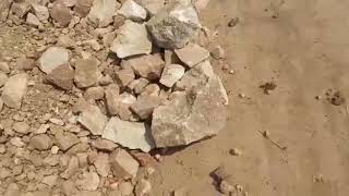 jammikunta mandalam Lo R&B road nirlaksham