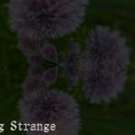 Blastpods “Standing Strange” Hip Hop Instrumental Rap Beat Soul R&B Remix Chill