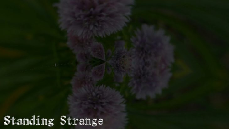 Blastpods “Standing Strange” Hip Hop Instrumental Rap Beat Soul R&B Remix Chill