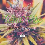 *FREE* Raggae✘Westcoast✘R&B 90s Oldschool Type Beat ! | Weed Vibe | Instrumental Hip Hop 2019