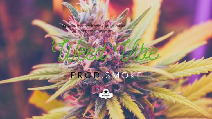 *FREE* Raggae✘Westcoast✘R&B 90s Oldschool Type Beat ! | Weed Vibe | Instrumental Hip Hop 2019