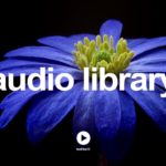 Happy Birthday Soul – E’s Jammy Jams – R&B & Soul | Happy | No Copyright Music YouTube – Free Audio