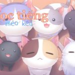 Học Tiếng Mèo Kêu | EDM – R&B