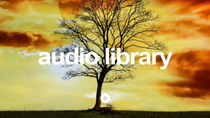 Late Nights – Causmic | R&B & Soul | Romantic | No Copyright Music YouTube – Free Audio Library