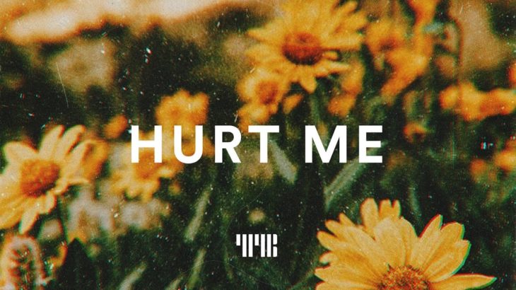 NAV Type Beat “Hurt Me” R&B Trapsoul Instrumental 2019