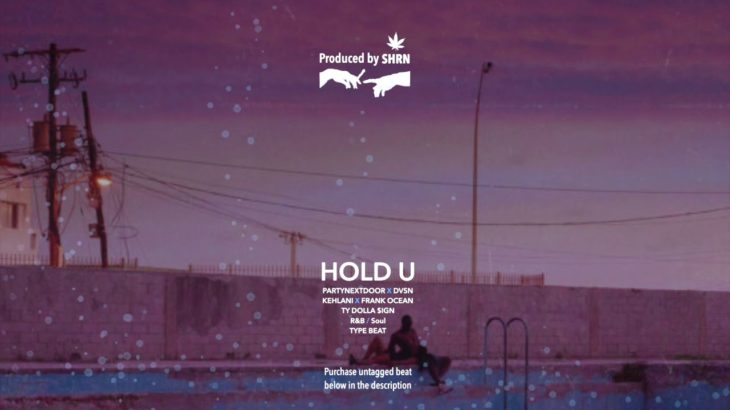 R&B/Soul Type Beat | Hold U (Prod. by SHRN)