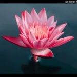 Soul Trap Hip Hop R&B Rap Type Beat “Faithful” – DC Freestyle ft Young Blade