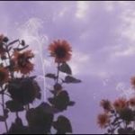 smooth trans-R&B