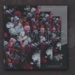 AWAKE – The Weeknd Type Beat R&B NEOSOUL POP RAP