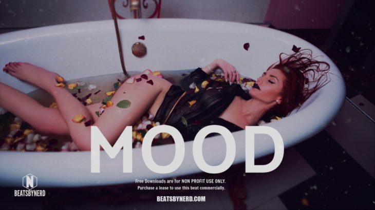 Ariana Grande  X Offset Type Beat 2019- “Mood” | R&B Trap Instrumental 2019  (Prod.BeatsbyNERD)