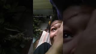 Baby shark R&b