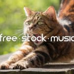 Cat Nap by Pyrosion feat. Lelie Cristea [ R&B / Soul / Chill-Out ] | free-stock-music.com