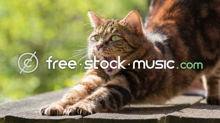Cat Nap by Pyrosion feat. Lelie Cristea [ R&B / Soul / Chill-Out ] | free-stock-music.com