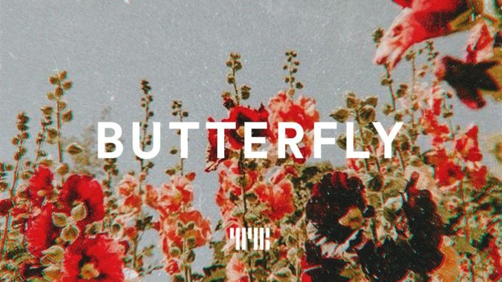 Code Kunst Type Beat “Butterfly” R&B/Soul Guitar Instrumental 2019