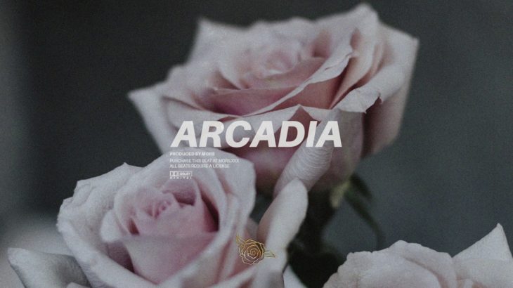 [FREE] ‘Arcadia’ Dark Wavy Chill R&B Beat (Prod. Mors)