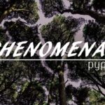 FREE “Phenomenal” Type Beat Emotional Piano  – Rap R&B Hiphop Trap Instrumental
