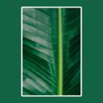 (FREE) Tropical Vibes Type Beat – “Refresh” | R&B/Soul Trap Type Beat I 2019