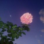 FREE Valentines Day R&B Love Song Type Beat R&B Instrumental “its always been you” prod. oebeats