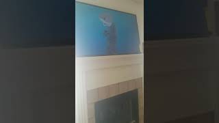 Layla’s Baby Shark R&B Remix Dance Video