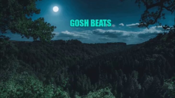 “MOON” R&B TYPE BEAT(Prod.GOSH BEATS)