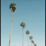 Meo – Heaven R&B 2011