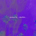 “Purple Smoke” | ( Trippie Redd x Drake type beat ) [ Trap/R&B instrumental ]