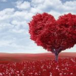 Romantic Music, PIANO MUSIC, COUNTRY MUSIC, JAZZ&BLUES, R&B & SOUL MUSIC