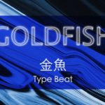 Sik-k x Gray x Groovyroom R&B Trap Soul TYPE BEAT 2019 || GOLD FISH