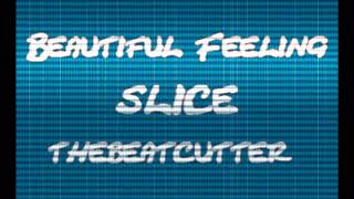 Smooth Drake type R&B type instrumental beat…( Beautiful Feeling)