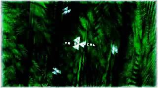 TROPICAL BEAT//R&B BEAT A LA VENTA