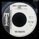 The Raelets – Into Something Fine – 1967 R&B