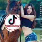 【TikTok】 よく使われる曲集 【 人気曲☆EDM R&B POP 洋楽 😍 K-POP 】 Part 12