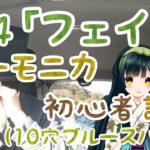 #04「フェイク」ハーモニカ初心者のための講座（ブルースハープ） / Harmonica lesson
