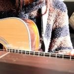 12万人、感謝の気持ちを込めて【弾き語り】
