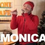 7. クリスマスパーティーで ブルースハープ をどう吹くか？／ハーモニカ バラエティー HAMONICAFE(ハモニカフェ)