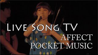 AFFECT 「POCKET MUSIC」 ライブソングTV　インディーズ音楽番組