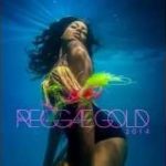 Assassin – Sekkle and Cease (Reggae Gold special promotion now!)