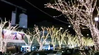【テクノ・ポップス　作業用BGM】　「表参道クリスマス・イルミネーション2015」　アップテンポな曲で気分転換はいかがでしょうか？