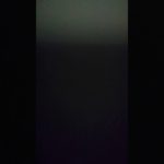 BUMP OF CHICKEN インディーズ グロレボ英語Ver
