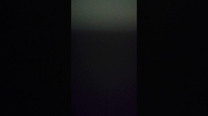 BUMP OF CHICKEN インディーズ グロレボ英語Ver
