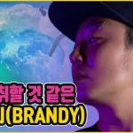 브랜디 (Brandy) – 술이 아니고 뮤지션 (부산 출신의 멋진 R&B 싱어송라이터)
