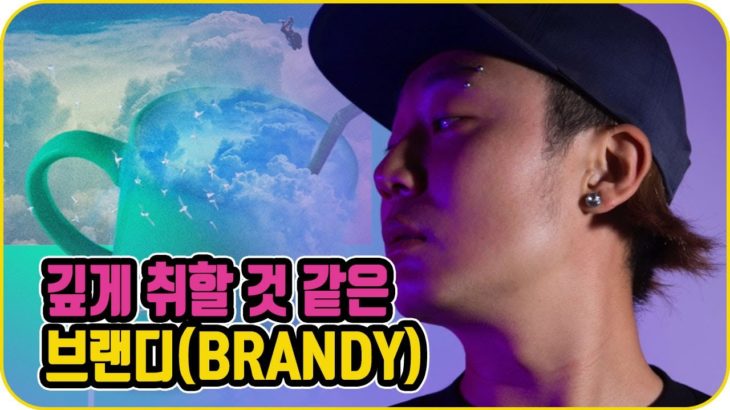 브랜디 (Brandy) – 술이 아니고 뮤지션 (부산 출신의 멋진 R&B 싱어송라이터)