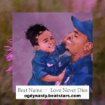 Chris Brown ft. SZA Type Beat 2K19 “Love Never Dies” | R&B Beat (Prod. OG Dynasty)