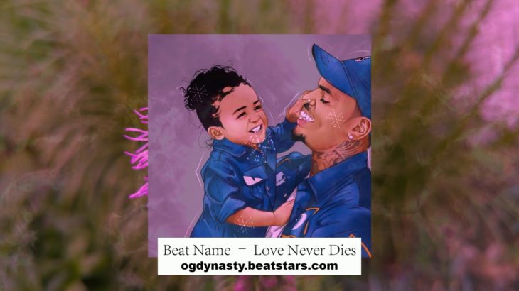 Chris Brown ft. SZA Type Beat 2K19 “Love Never Dies” | R&B Beat (Prod. OG Dynasty)
