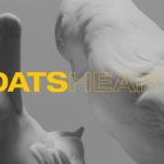 DATS – Heart（Official Music Video）